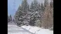 4. Biathlon - IBU - Cup in Altenberg (1)