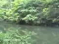 Der Amselsee bei Rathen (Elbsandsteingebirge / Sächsische Schweiz)