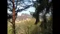 Blick von der Kleinen Bastei auf die Schrammsteine - Sächsische Schweiz