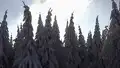 Skiwanderung zum Schneeskulpturen - Wettbewerb in Neuhermsdorf - 2010