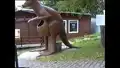 Urzeitpark Sebnitz - Sächsische Schweiz