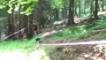 Mad East Challenge Mountainbike - Downhill