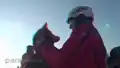 Schlittenhunderennen in HD/3D - Nassau