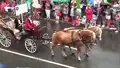 Festumzug 850 Jahre Freiberg (Teil 4)