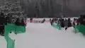 Husky-Gespann beim Zieleinlauf
