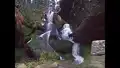 Lichtenhainer Wasserfall