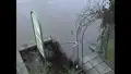 Hochwasser in Krippen - Sächsische Schweiz (Elbsandsteingebirge)