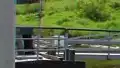 Vom Bahnhof Bad Schandau mit der Fähre zur Bornfähre (Bahnhof Krippen)