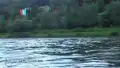 Fähre der OVPS - Fahrt vom Elbkai zum Bahnhof Bad Schandau in 3D