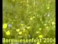 Bergwiesenfest Rechenberg-Bienenmühle (Teil 1)