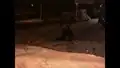 Nachts skifahren in Holzhau