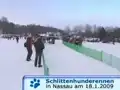 Nassauer Schlittenhunderennen 2009 (5/11)