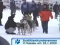 Schlittenhunderennen Nassau 2009 (6/11)