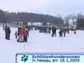Schlittenhunderennen Nassau 2009 (7/11)