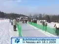 Schlittenhunderennen Nassau 2009 (8/11)