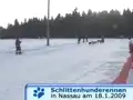 Schlittenhunderennen Nassau 2009 (10/11)
