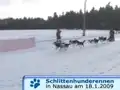 Schlittenhunderennen in Nassau - Erzgebirge 2009 (11/11)
